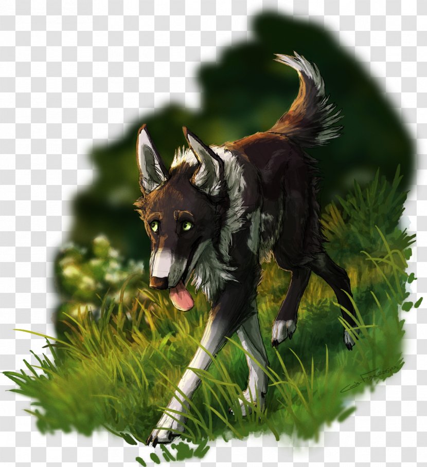 Wolf Canis Ferox Digital Art Painting - Demeritas Transparent PNG