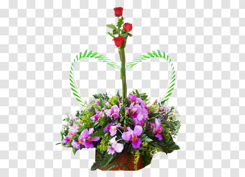Floral Design Adomicilio.com Flowers & Gifts Flower Bouquet Torta - Gift Transparent PNG
