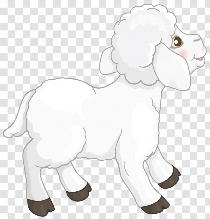Sheep Goat Clip Art - Small To Medium Sized Cats - Transparent White Lamb Clipart Picture Transparent PNG