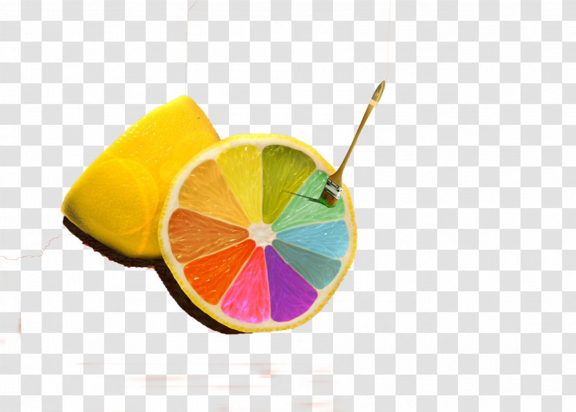 Web Development Creativity Innovation Business - Internet - Lemon Paint Brushes Transparent PNG