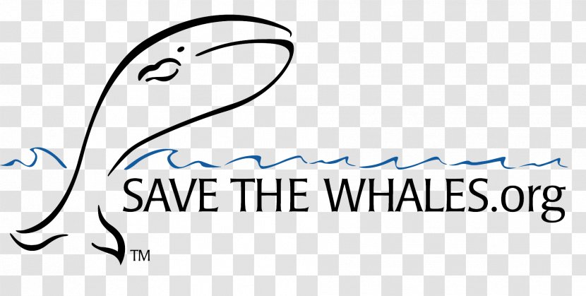 Logo Cetacea Organization Whaling Whale Watching - Save The Date Transparent PNG