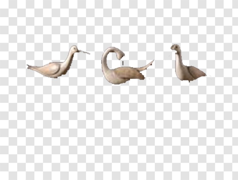 Duck Cygnini Goose - Bird - Swan Decoration Transparent PNG