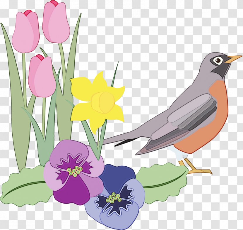 Watercolor Flower Background - Collage - Sparrow Tulip Transparent PNG