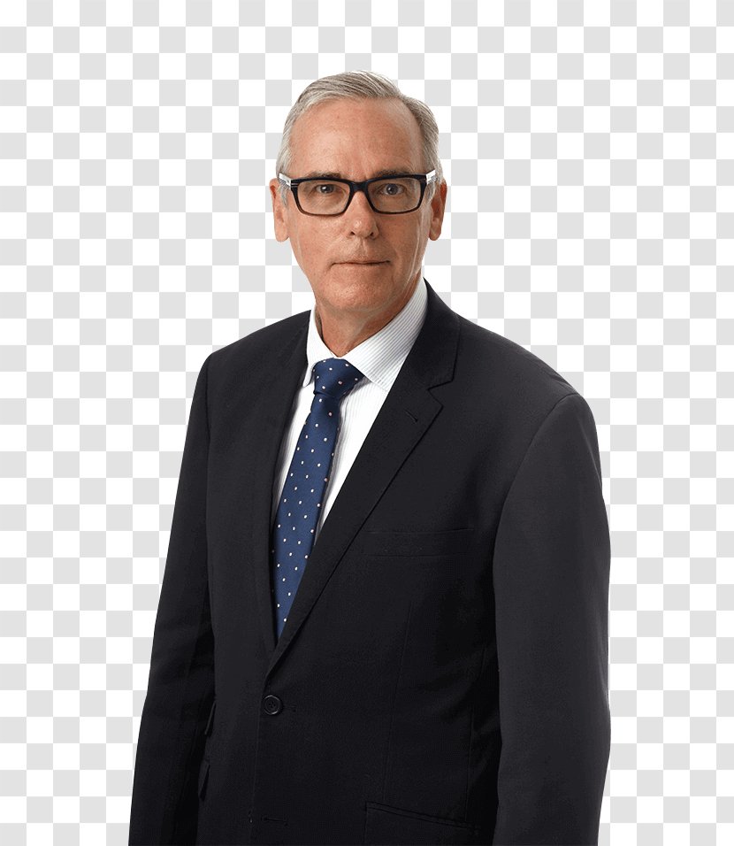 Business Lawyer Chief Executive Greenberg Traurig Blank Rome Transparent PNG