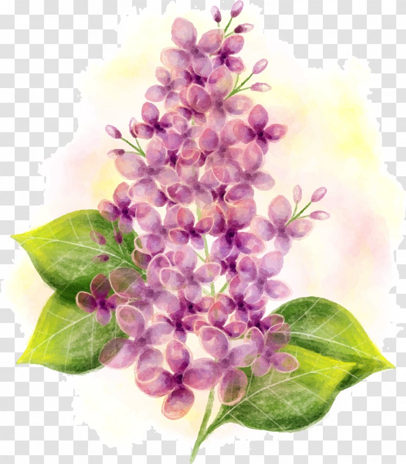 Lilac Watercolor Painting Flower - Lavender - Vector Hand-painted Transparent PNG