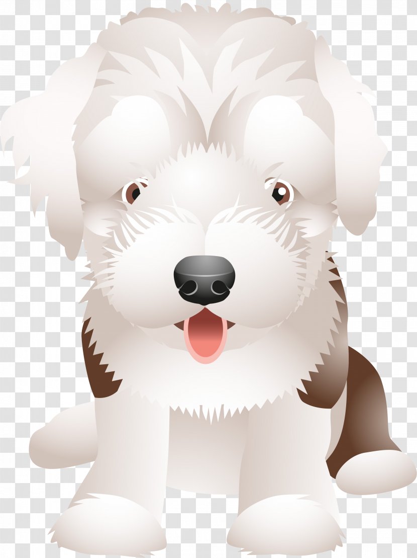 Maltese Dog Puppy Schnoodle Breed Companion Transparent PNG