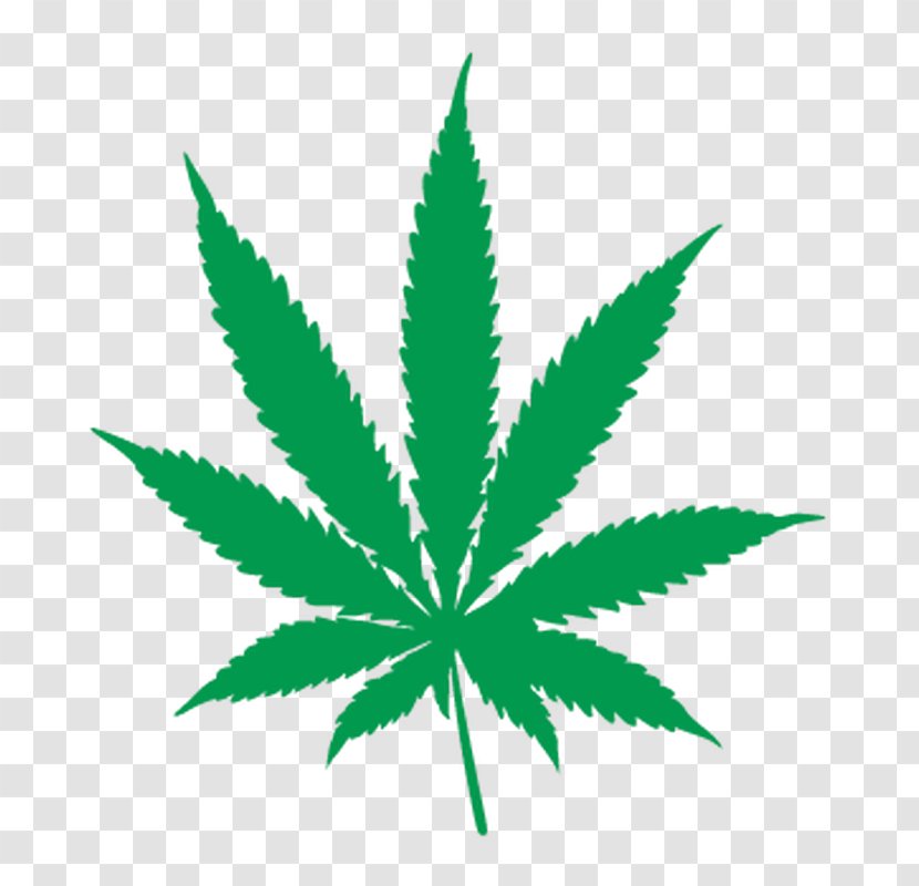 Cannabis Smoking Leaf Kush Medical - Hemp Family Transparent PNG