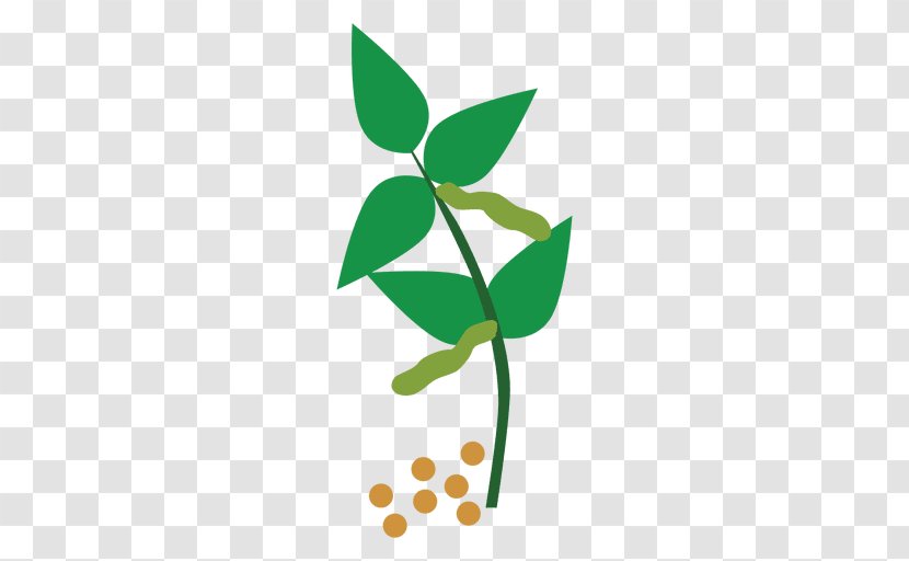 Clip Art Plant Stem Common Bean Plants - Logo - Cuerda Transparent PNG