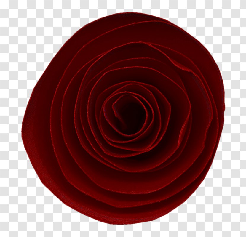 Garden Roses Circle Spiral Petal - Log Texture Transparent PNG