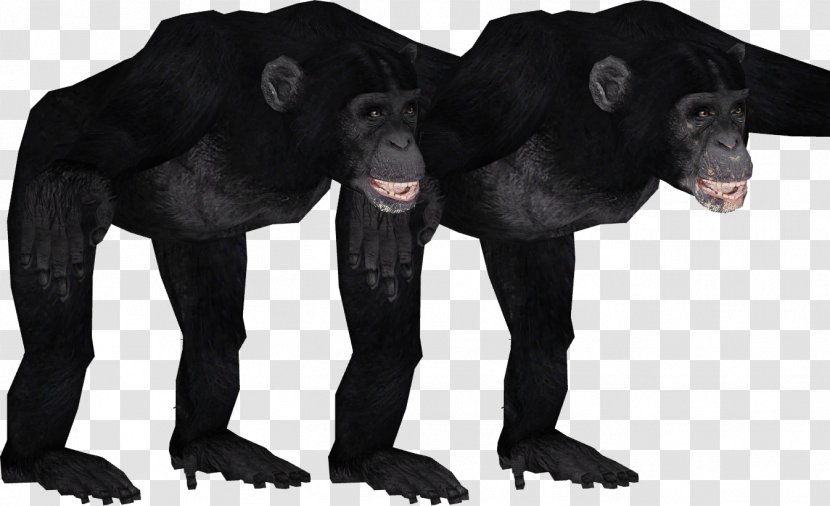 Gorilla Common Chimpanzee Primate Zoo Tycoon 2 Animal Transparent PNG