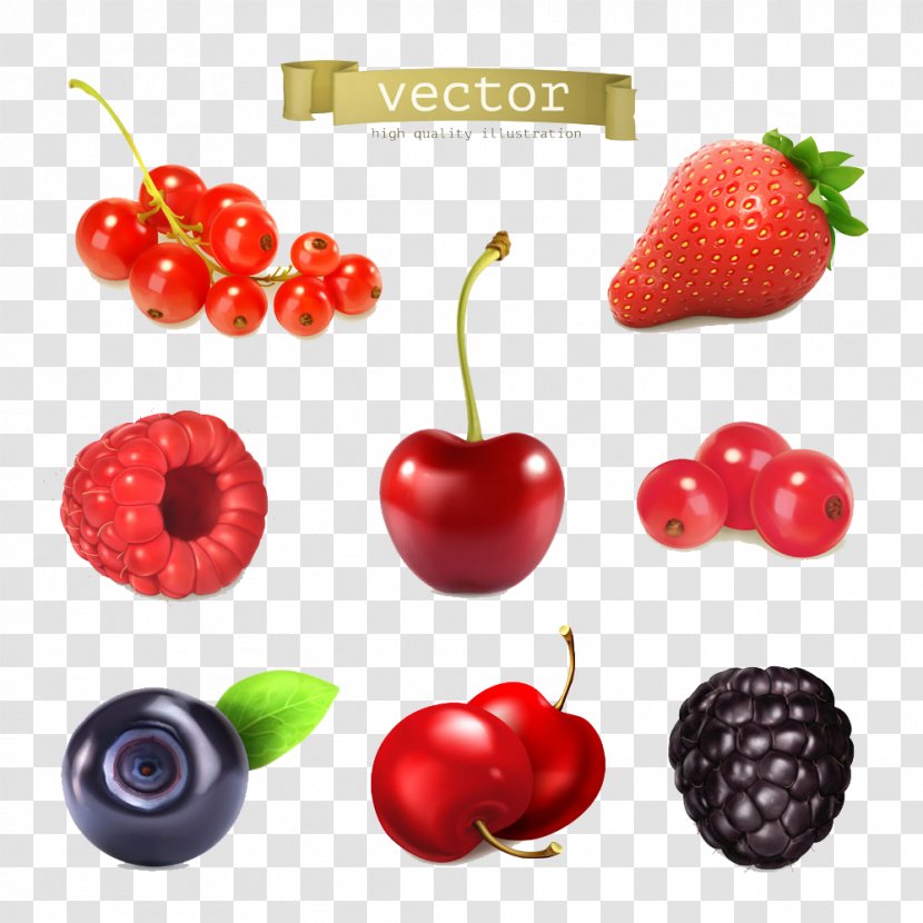 Juice Frutti Di Bosco Cherry Strawberry - Peruvian Groundcherry - Fresh Berries Cartoon Pictures Transparent PNG