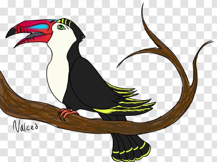 Bird Piciformes Toucan Beak Transparent PNG