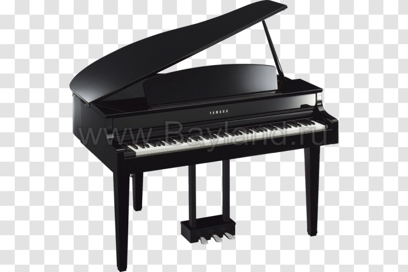 Digital Piano Clavinova Grand Disklavier - Flower Transparent PNG