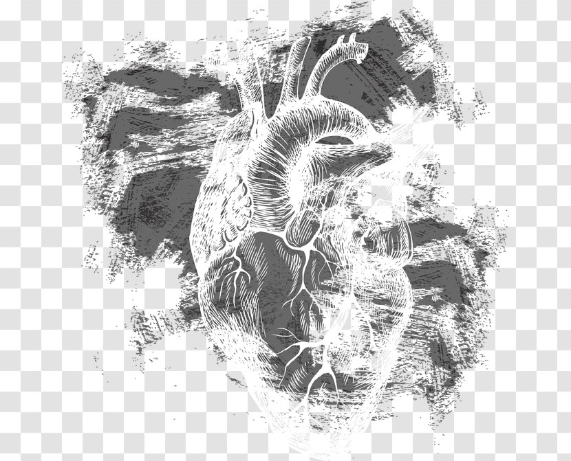 Heart Euclidean Vector Human Body - Tree - A Transparent PNG