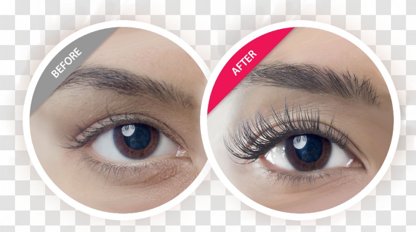 Eyelash Extensions Amazing Lash Studio Beauty Parlour Cosmetics - Eye Transparent PNG