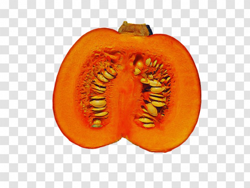 Orange - Plant - Calabaza Pumpkin Transparent PNG