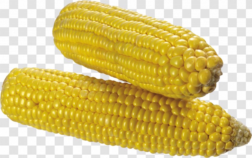 Corn On The Cob Kernel Sweet Maize Corncob - Dent - Image Transparent PNG