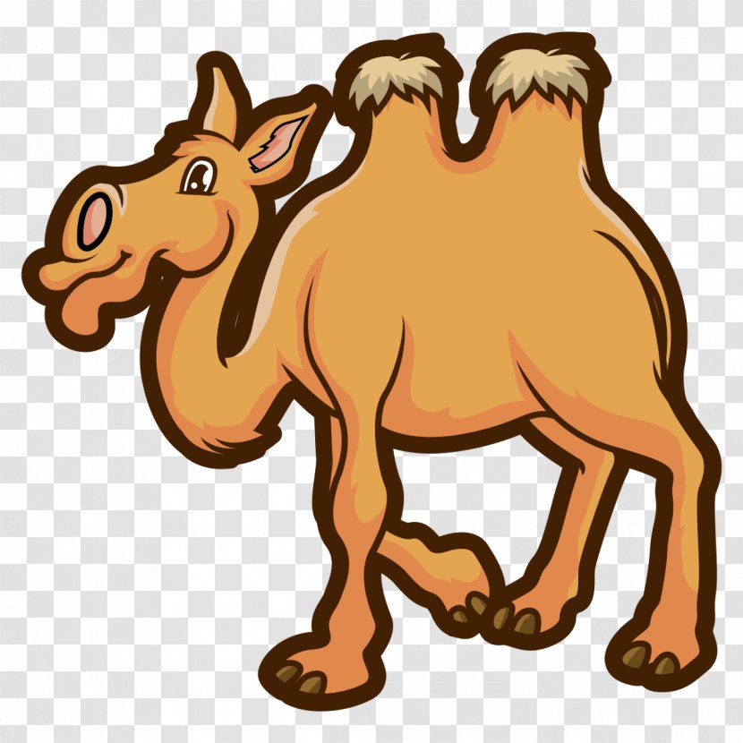 Dromedary Horse Animal Mammal Clip Art - Camel Transparent PNG