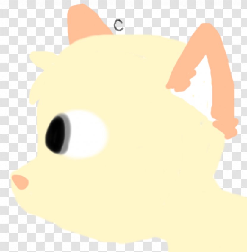 Whiskers Cat Rat Canidae Dog - Head Transparent PNG