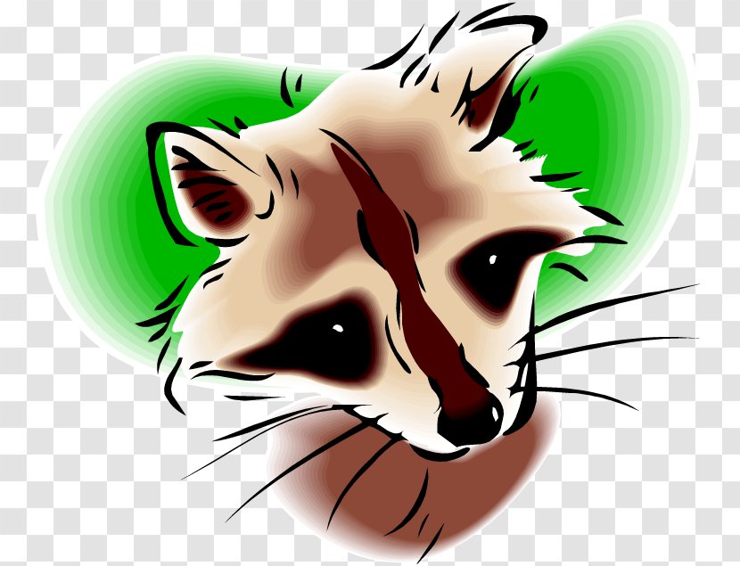 Clip Art Whiskers Raccoon Illustration Image - Carnivore Transparent PNG