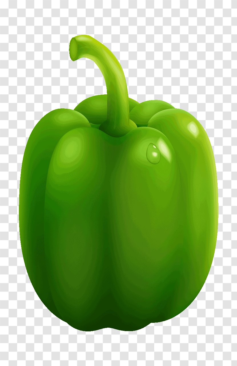 Chili Pepper Bell Vegetable Food Paprika - Green Transparent PNG