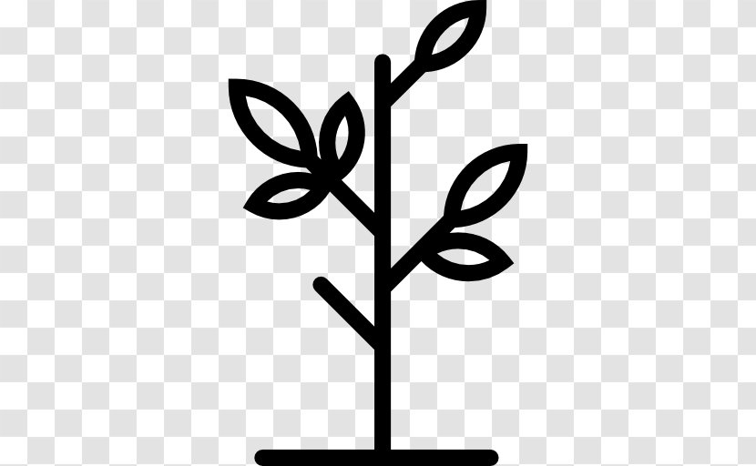 Black And White Monochrome Plant Stem Transparent PNG