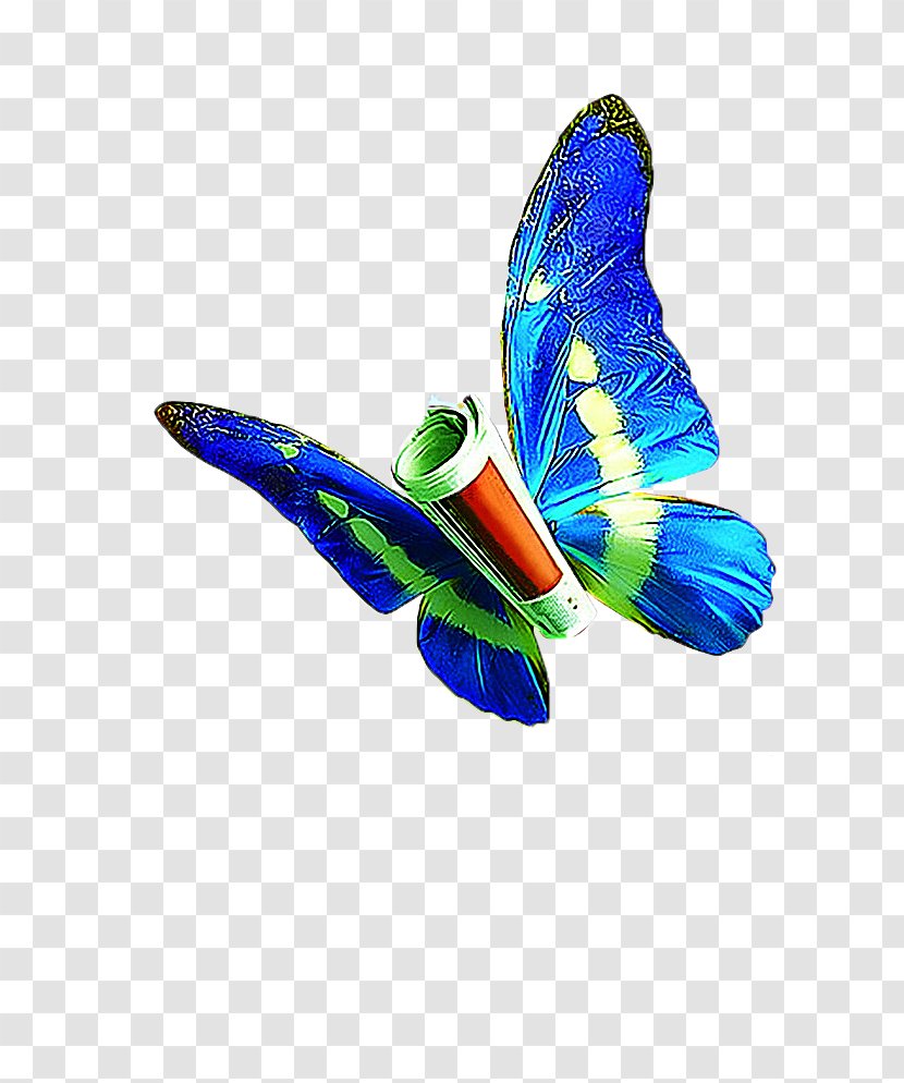 Butterfly Download - Moth Transparent PNG