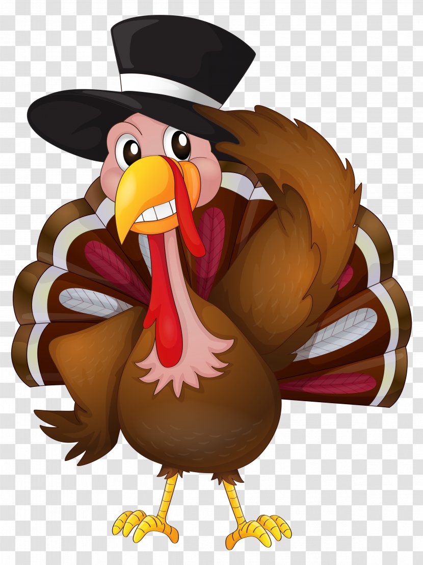 The Turkey Trot Thanksgiving Coloring Book - Galliformes - With Hat Clip Art Image Transparent PNG