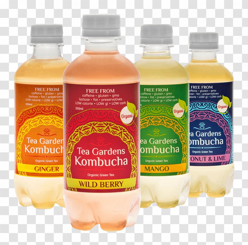 Kombucha Green Tea Organic Food Juice - Plant Transparent PNG