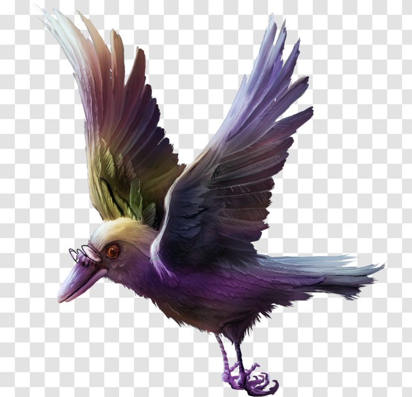 Icon - Beak - Eagle Transparent PNG