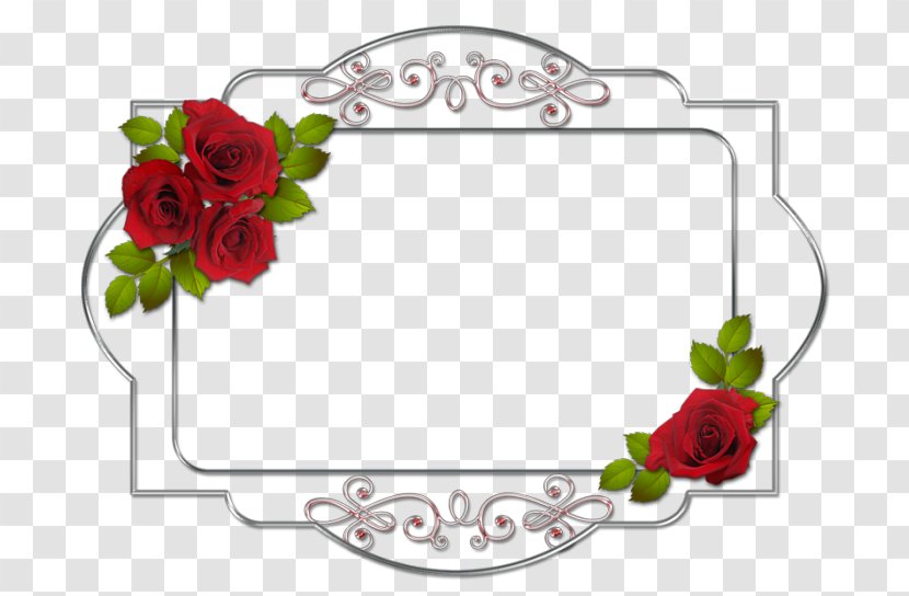 Garden Roses Picture Frames Red French Rose Clip Art - Flower Bouquet Transparent PNG