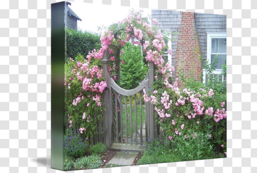 Garden Roses Flower Shrub - Fence - Rose Transparent PNG
