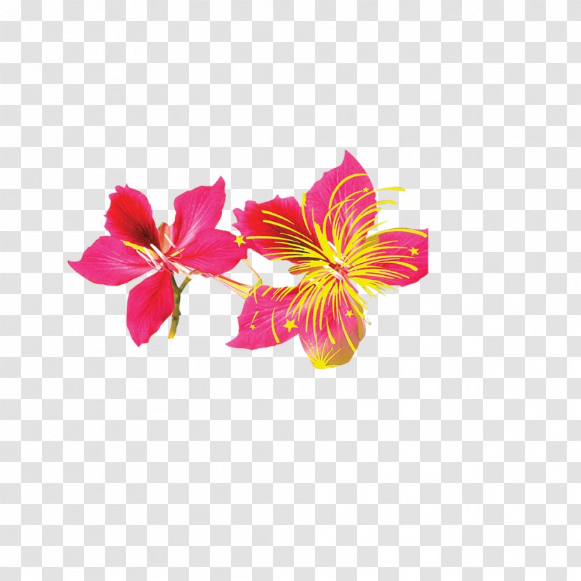 Flower Red Bud - Cut Flowers - Creative Free Transparent PNG