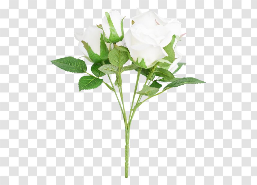 Cut Flowers Rose Family Plant Stem Bud Flowerpot - Flowering Transparent PNG