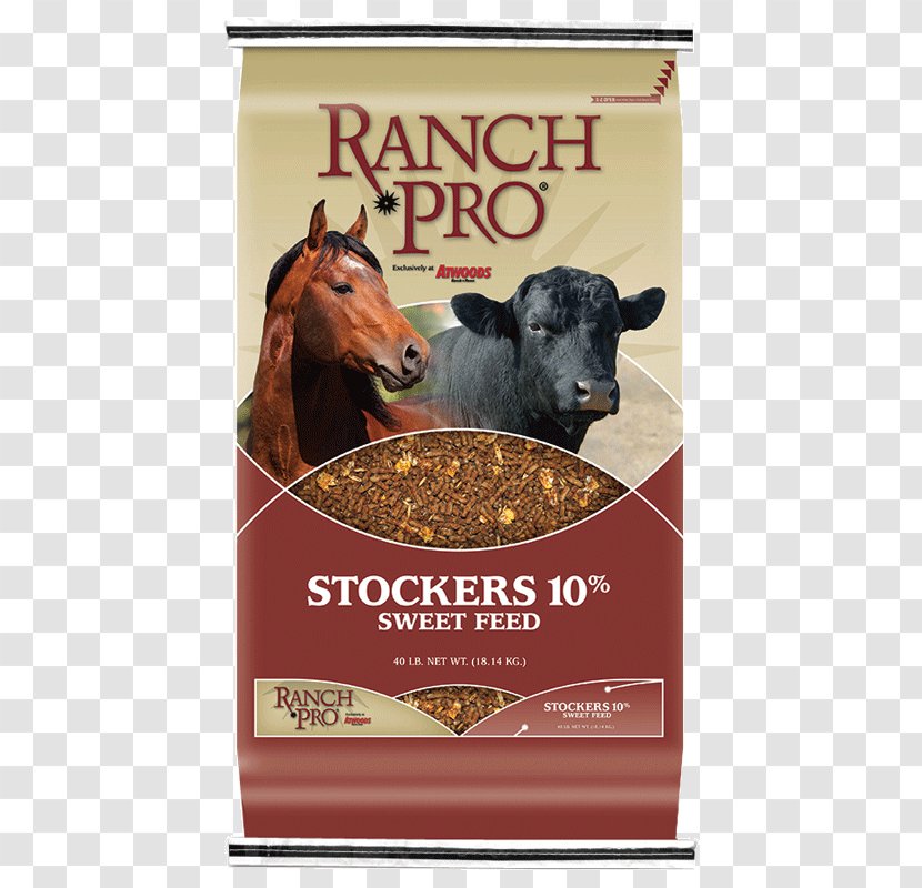 Cattle Horse Equine Nutrition Ranch Goat - Atwoods - Feed Transparent PNG