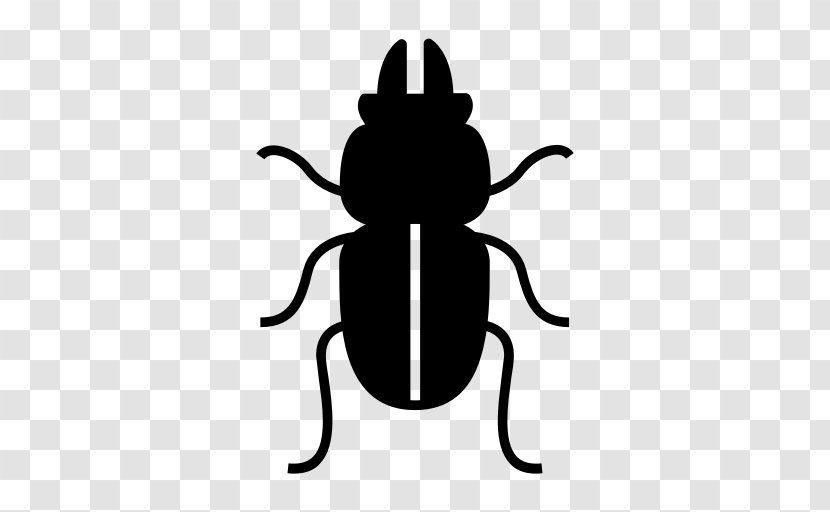 Beetle Art Drawing - Bee - Bug Transparent PNG