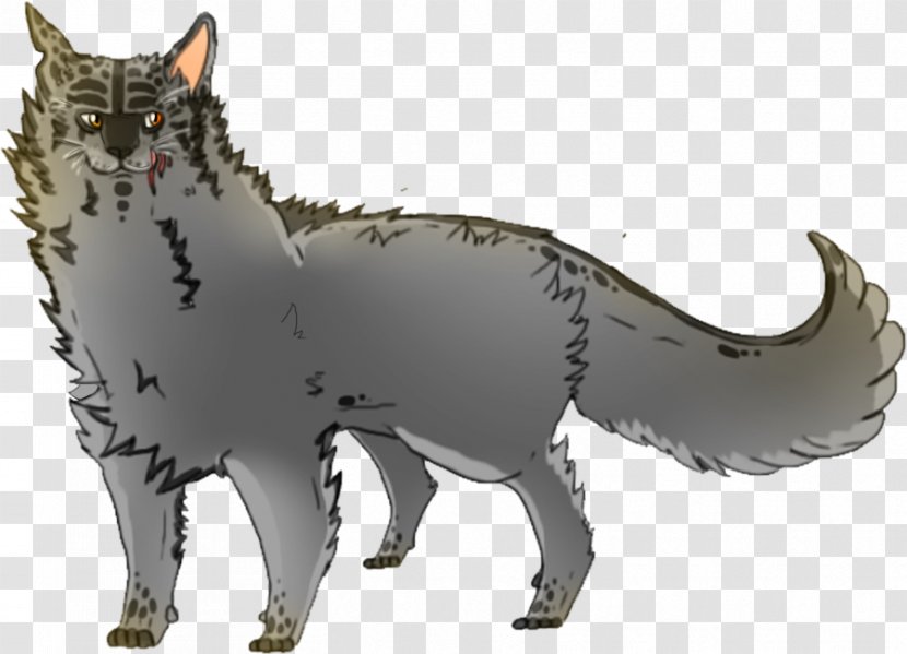 Whiskers Shark Gray Wolf Cat Warriors - Like Mammal Transparent PNG