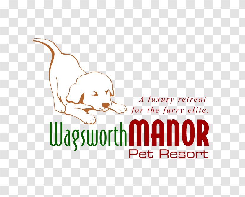 Dog Grooming Pet Sitting Wagsworth Manor Resort - Vertebrate Transparent PNG
