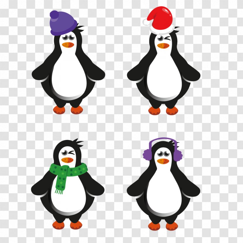 Penguin Cartoon Illustration - Bird - Cute Transparent PNG