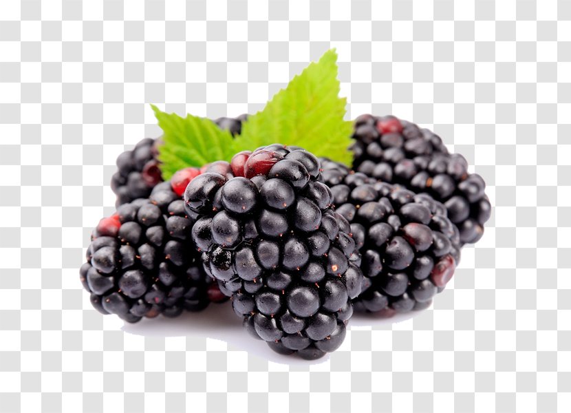 Boysenberry Amora Fruit Sorbet Auglis - Blackcurrant - Vegetable Transparent PNG