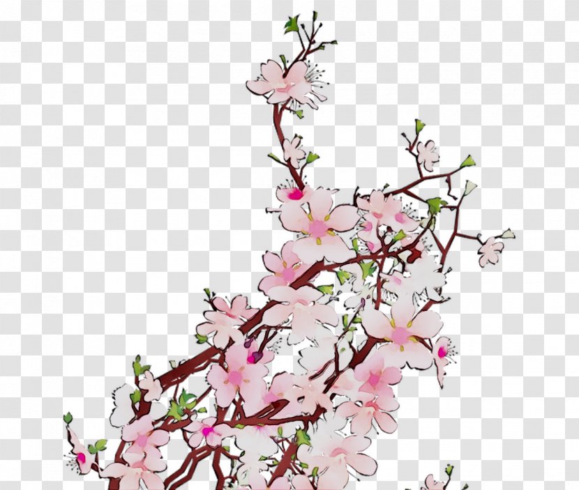 Floral Design IPhone 7 Cherry Blossom Cut Flowers Plant Stem - Shrub Transparent PNG