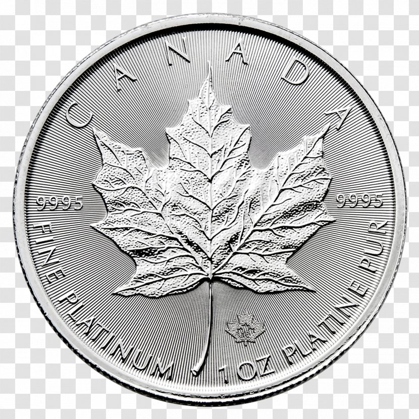 Canadian Platinum Maple Leaf Gold Coin Bullion - Mint Transparent PNG