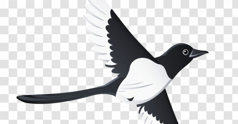 Bird Beak Swallow Tattoo Clip Art - Magpie Transparent PNG