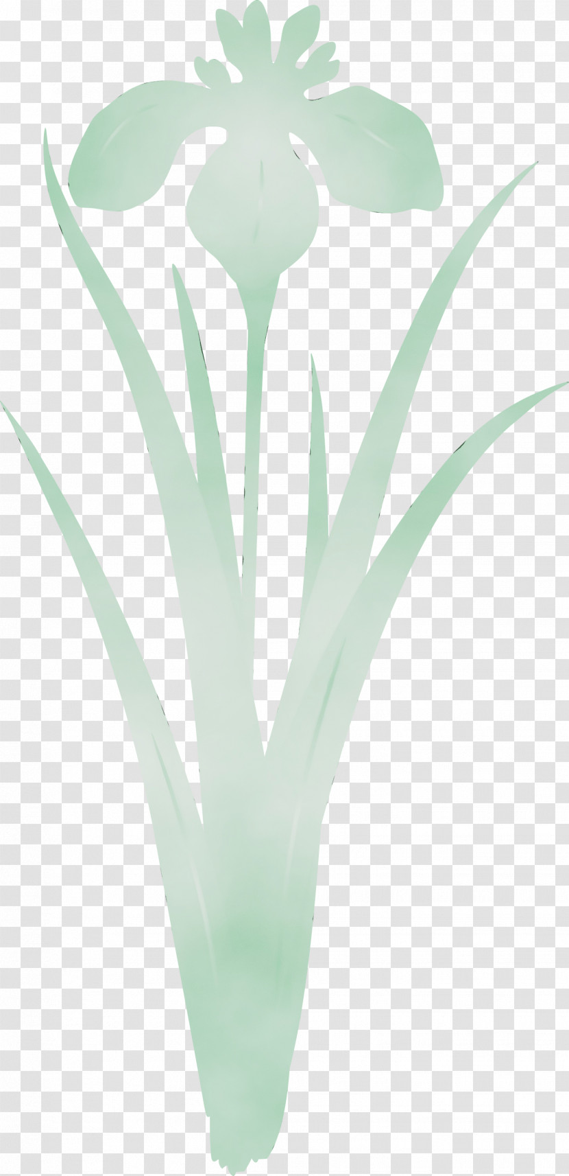 Green Turquoise Flower Plant Leaf Transparent PNG