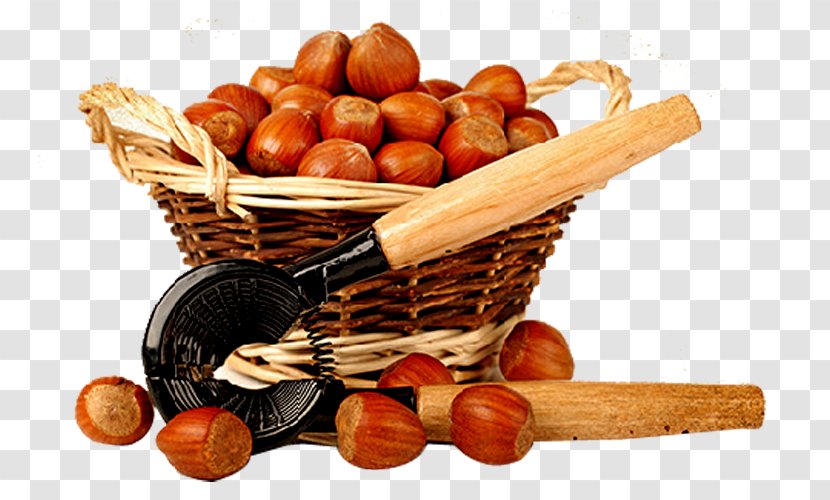Chinese Chestnut Walnut - Food - Open Tools Transparent PNG