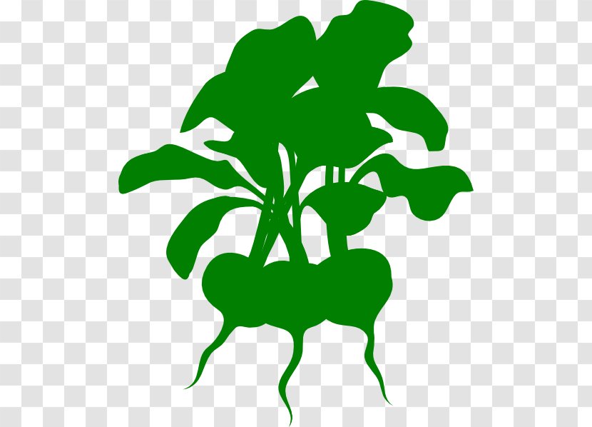 Lettuce Wrap Stencil Beetroot Clip Art - Grass - Vegetable Transparent PNG