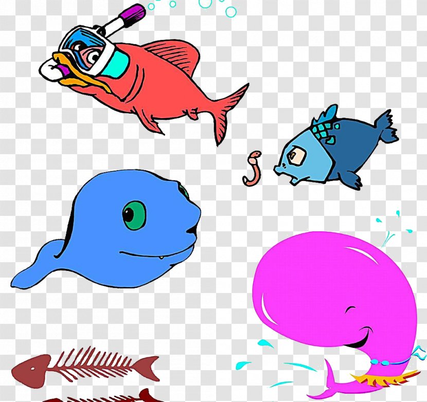 Cartoon Poster - Dolphin Transparent PNG