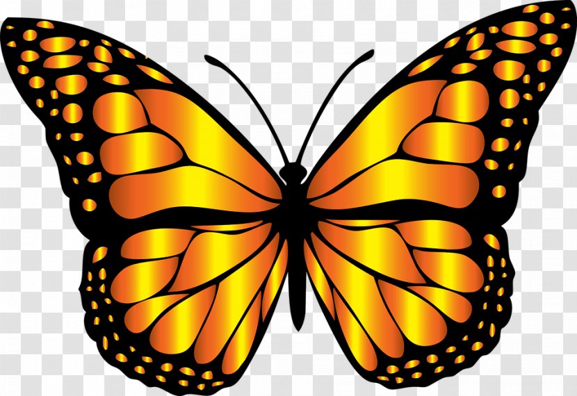 Monarch Butterfly Insect Clip Art - Brush Footed Transparent PNG