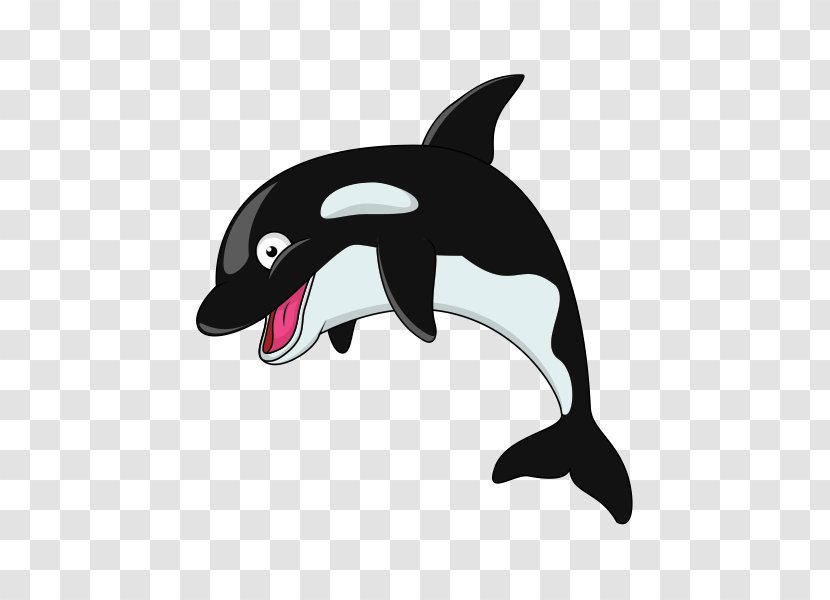 Killer Whale Clip Art - Fotosearch - Stock Photography Transparent PNG