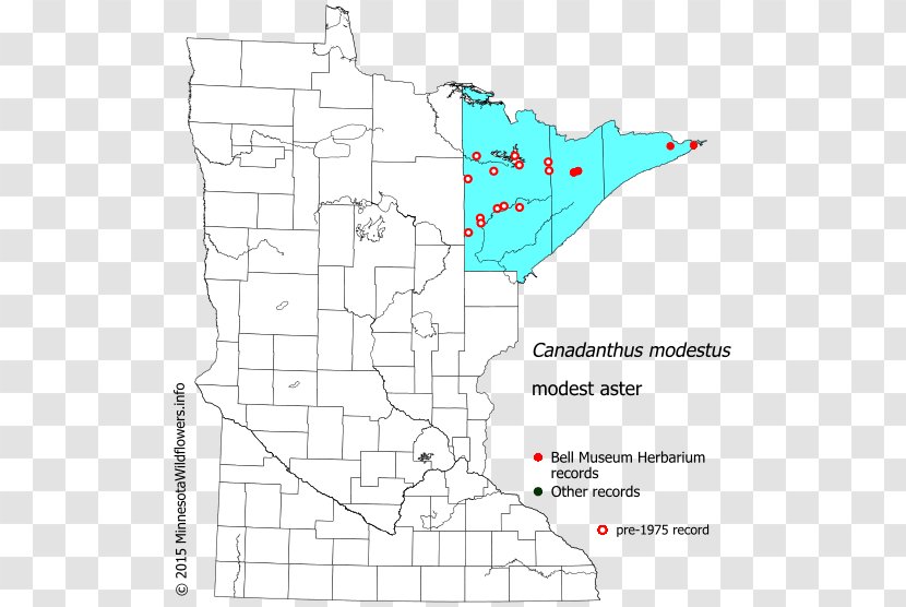 Line Map Land Lot Point Angle - Diagram Transparent PNG